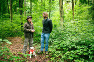 Zwei Männer stehen in einem Laubmischwald in einem Bereich mit viel Natürverjüngung.